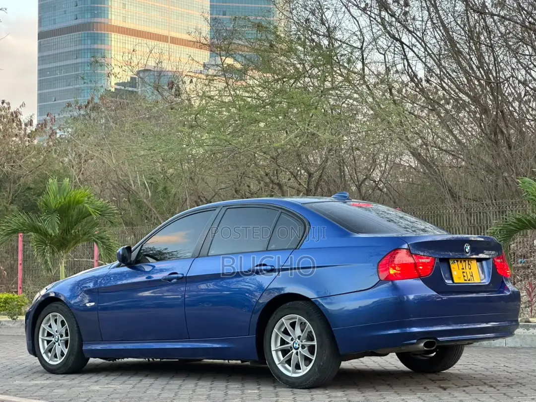 BMW 3 Series 2010 Blue
