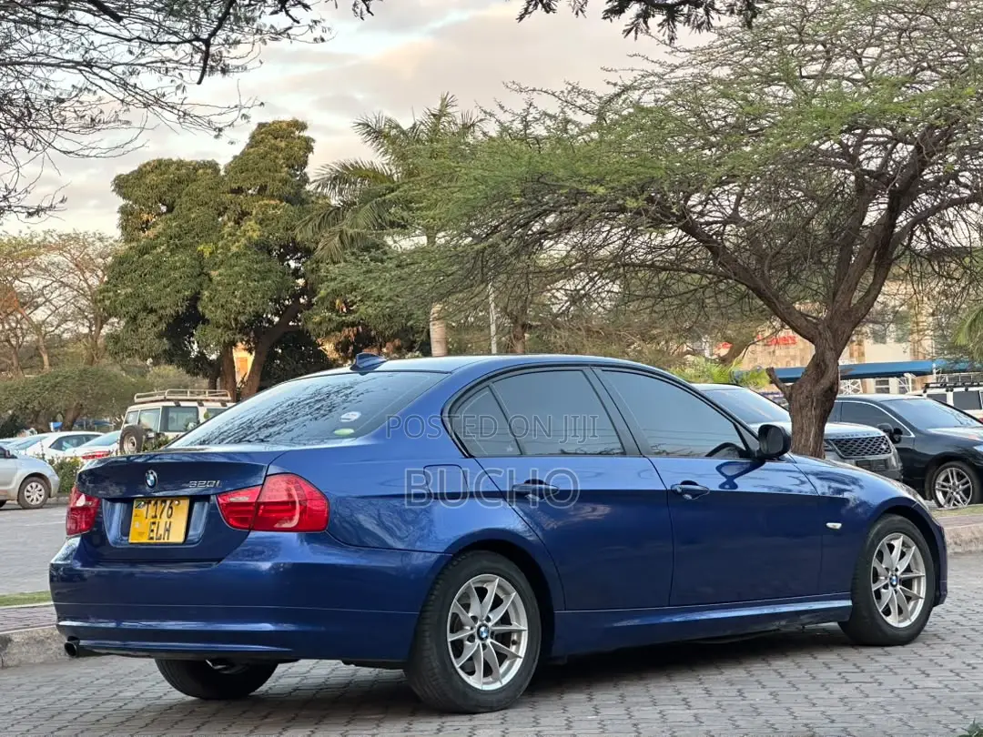 BMW 3 Series 2010 Blue
