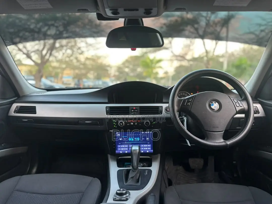 BMW 3 Series 2010 Blue