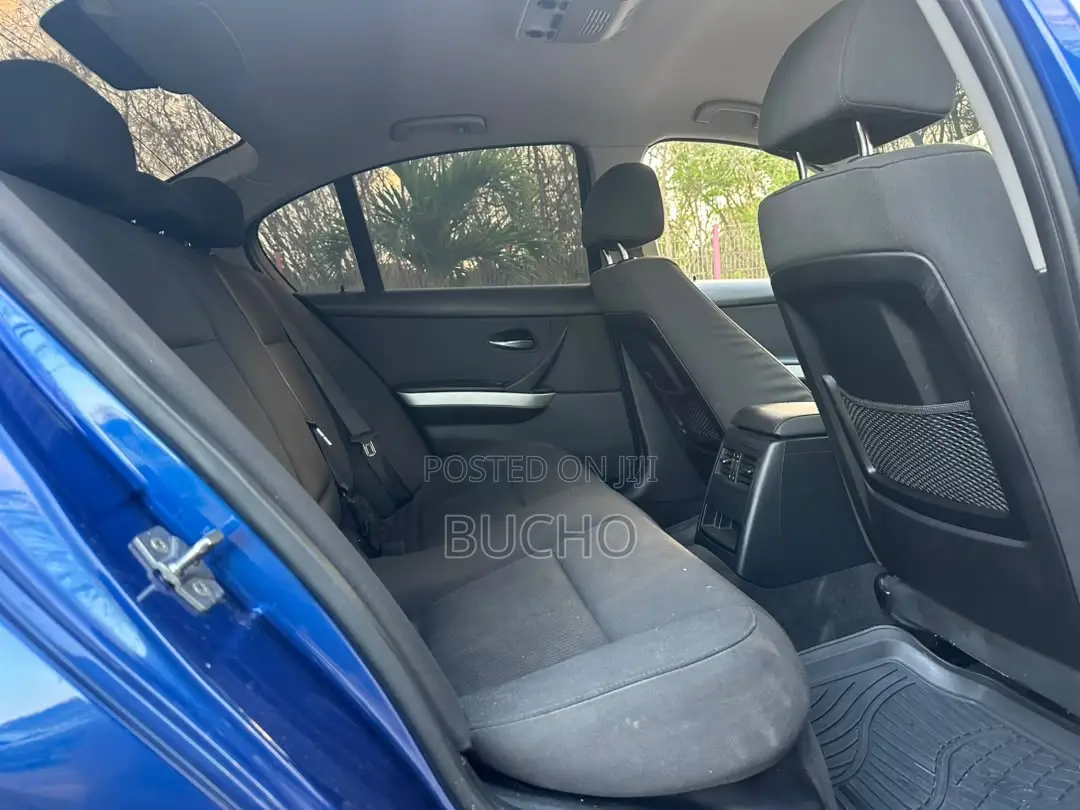 BMW 3 Series 2010 Blue