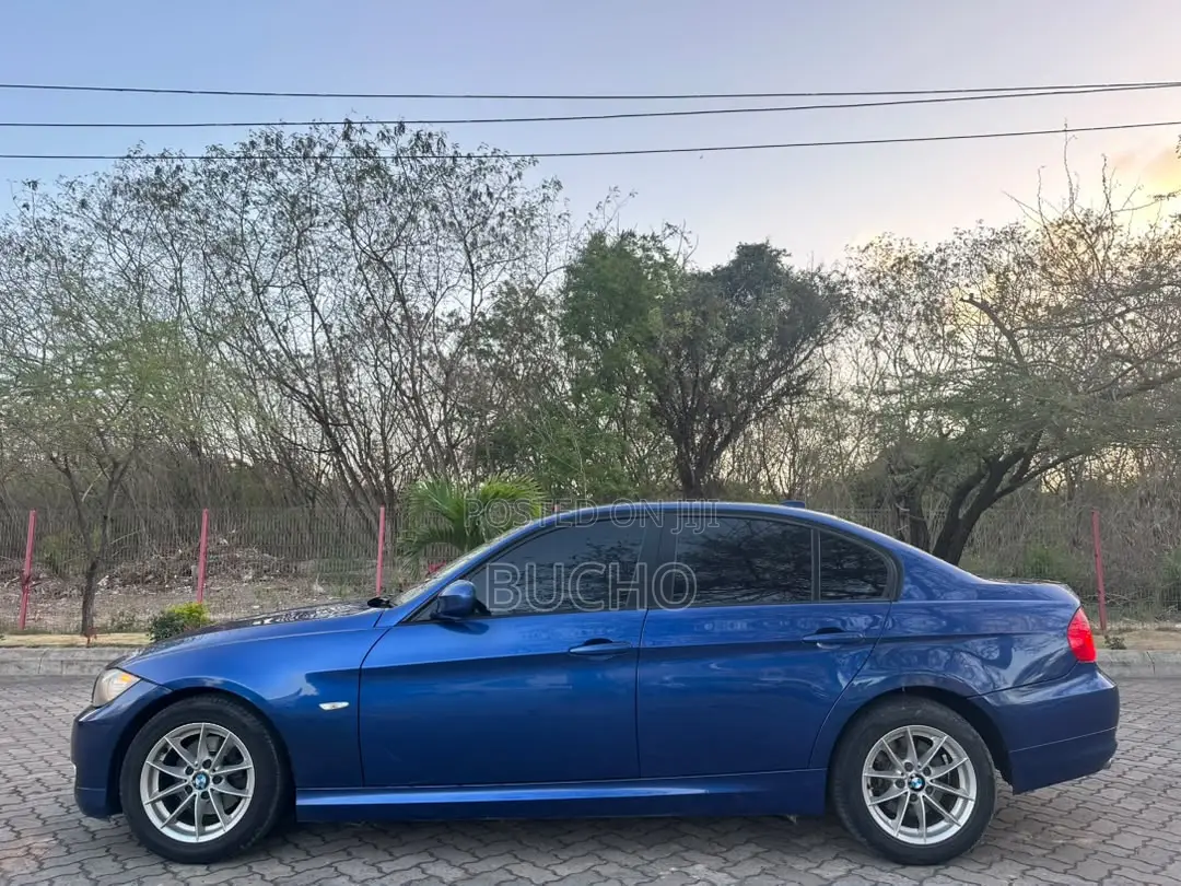 BMW 3 Series 2010 Blue