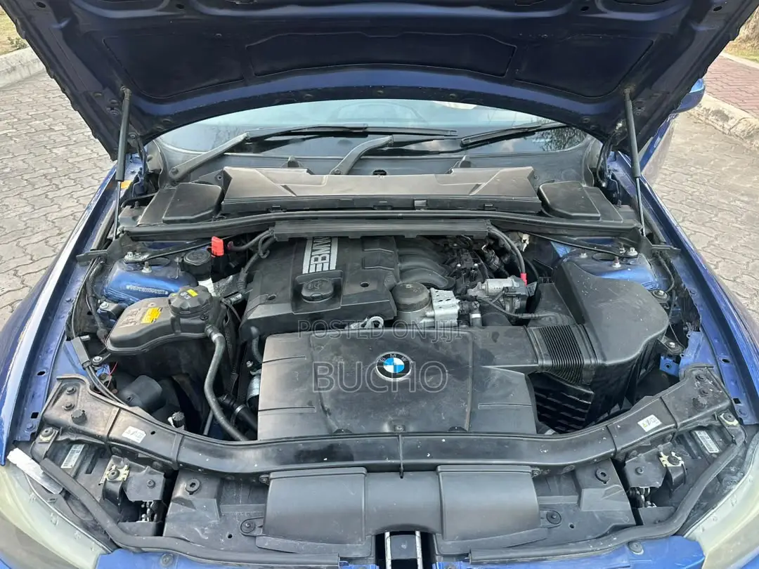 BMW 3 Series 2010 Blue