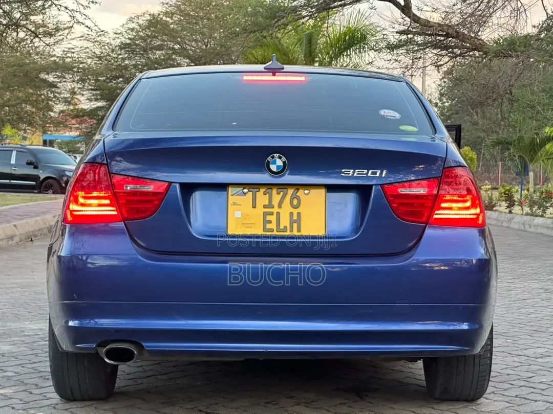 BMW 3 Series 2010 Blue