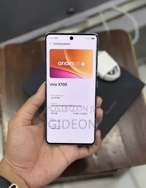 Vivo X100 512 GB Black