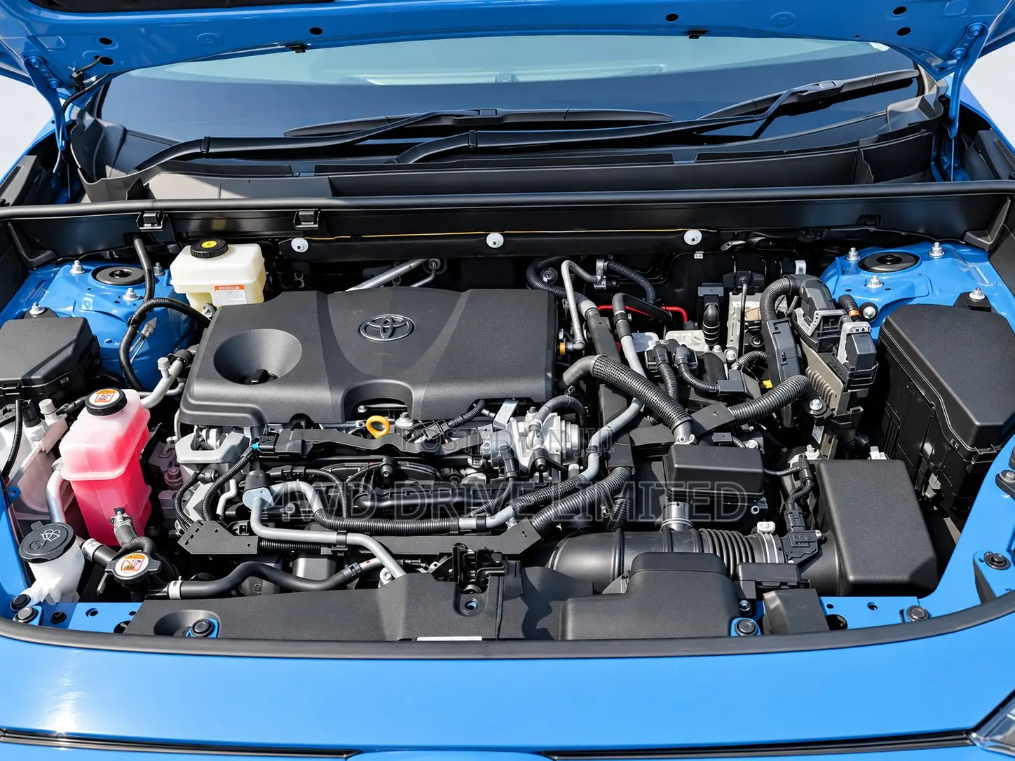 Toyota RAV4 XLE Premium AWD 2024 Blue