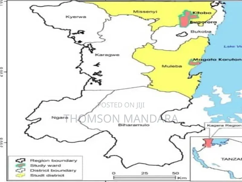 Tin Mining PML – Joint Venture Opportunity | Tanzania