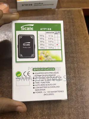 Electronic Pocket Scale