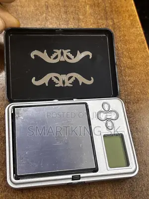 Electronic Pocket Scale