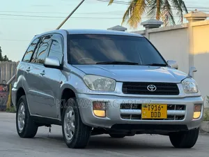 Toyota RAV4 2002 Silver