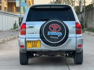 Toyota RAV4 2002 Silver