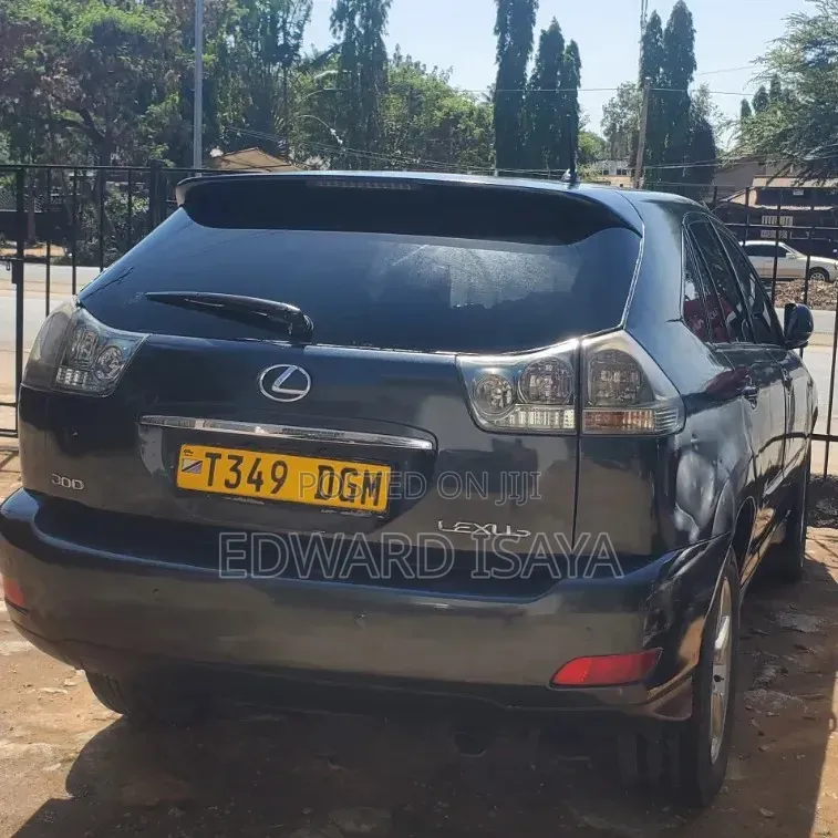 Toyota Harrier 2005 Gray