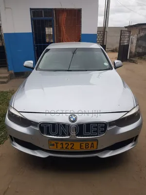 BMW 3 Series 316i RWD 2013 Silver