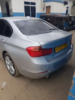 BMW 3 Series 316i RWD 2013 Silver