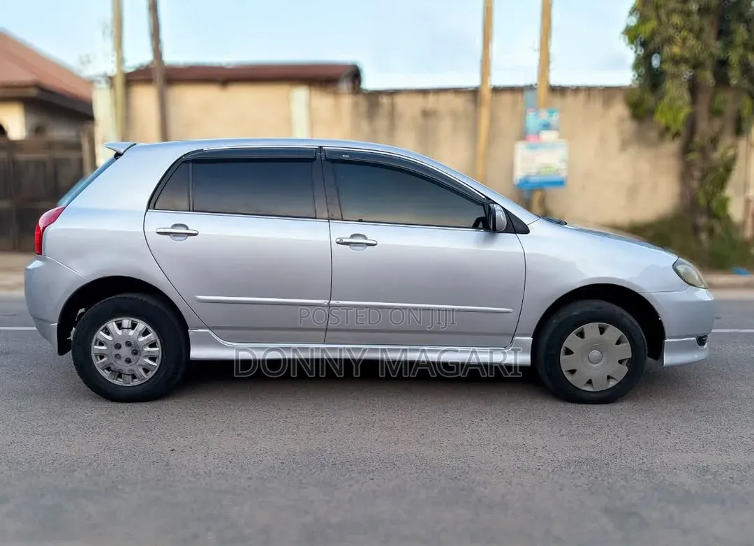 Toyota Allex 2004 Silver