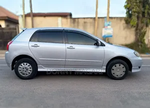 Toyota Allex 2004 Silver