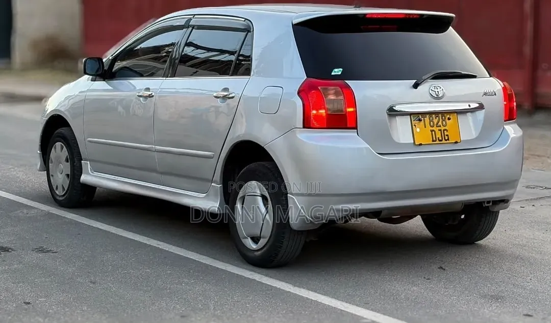Toyota Allex 2004 Silver