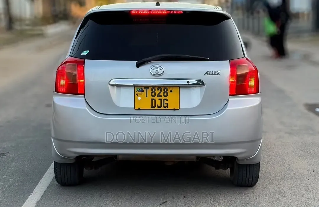 Toyota Allex 2004 Silver
