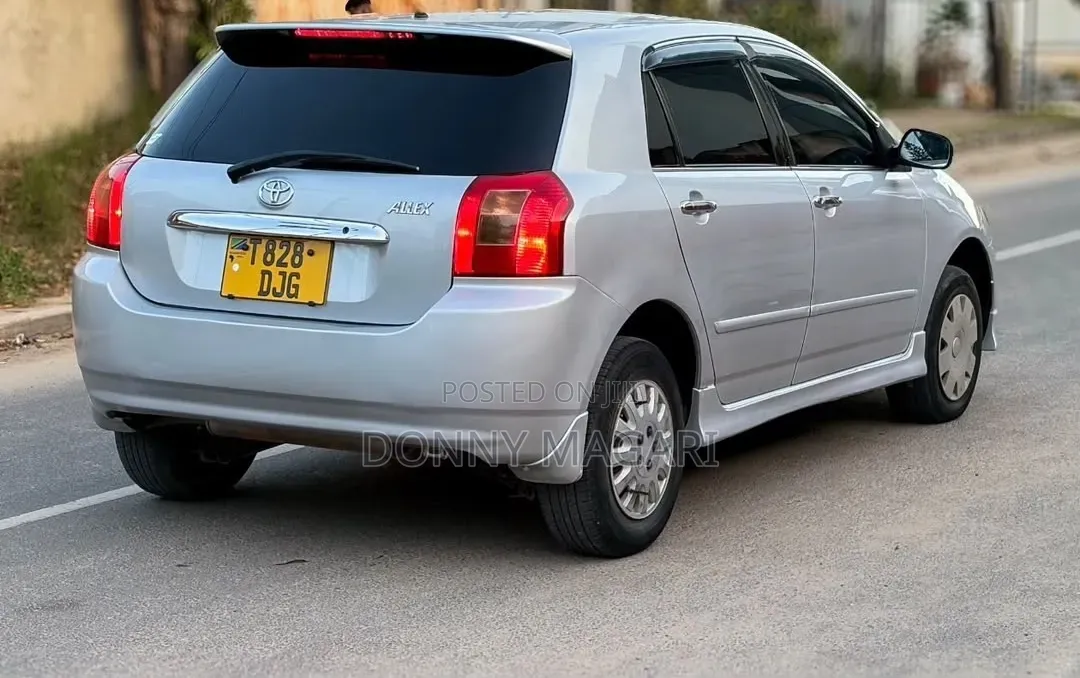 Toyota Allex 2004 Silver