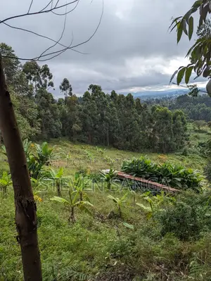 Farm Land for Sale Rungwe Mbeya