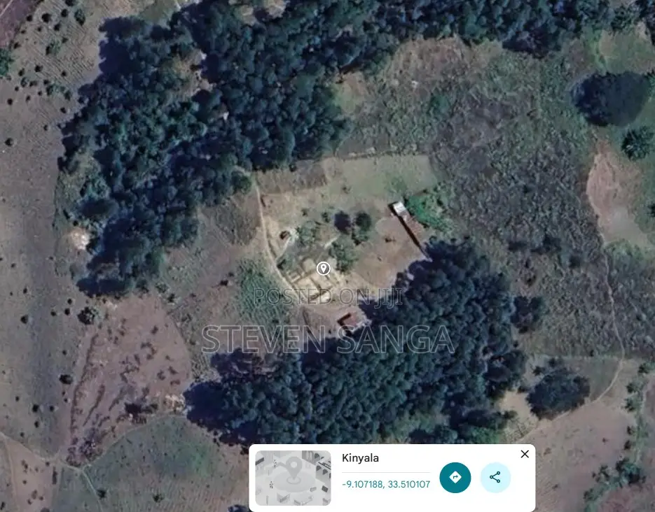 Farm Land for Sale Rungwe Mbeya