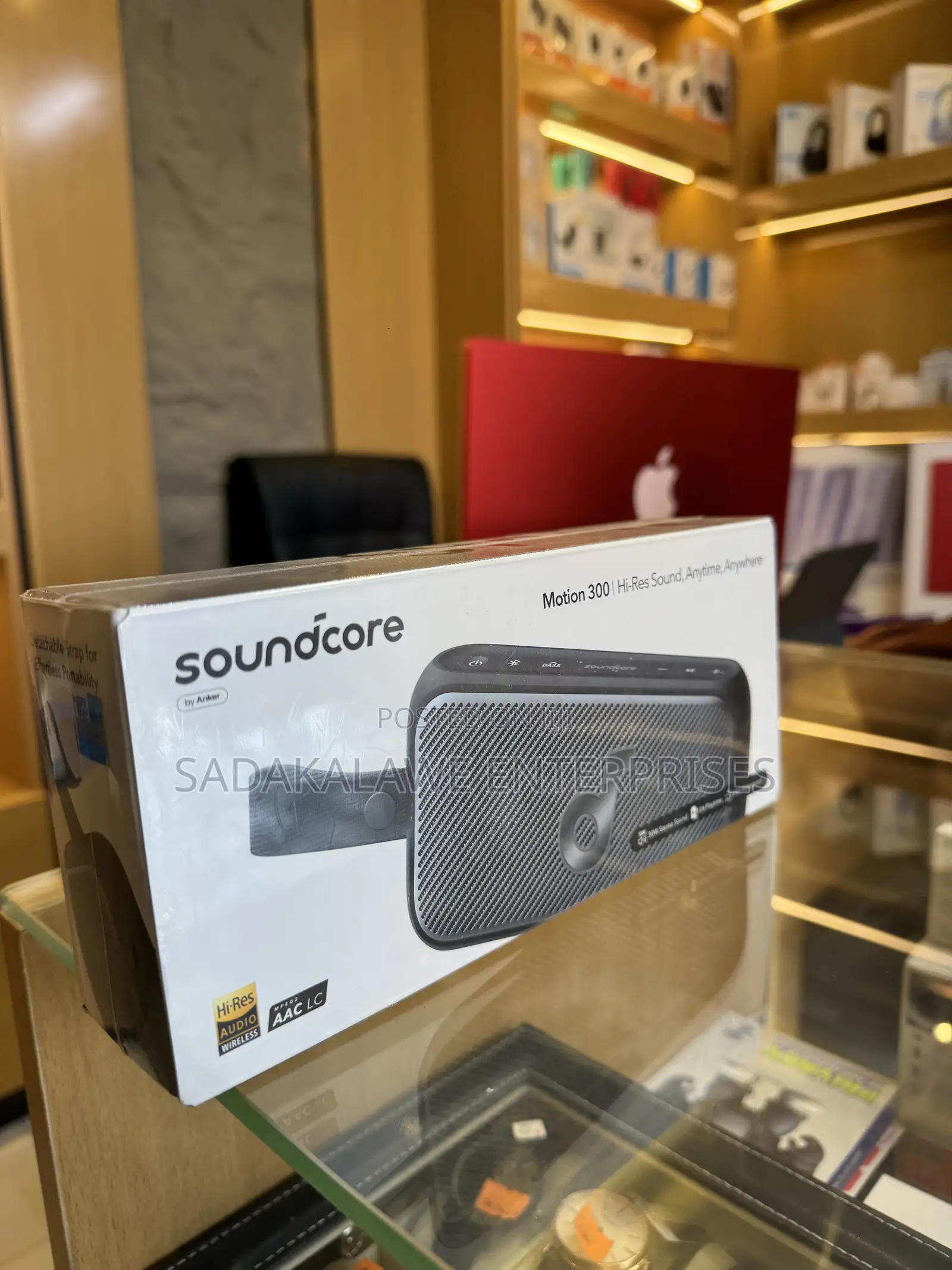 Anker Soundcore Motion 300