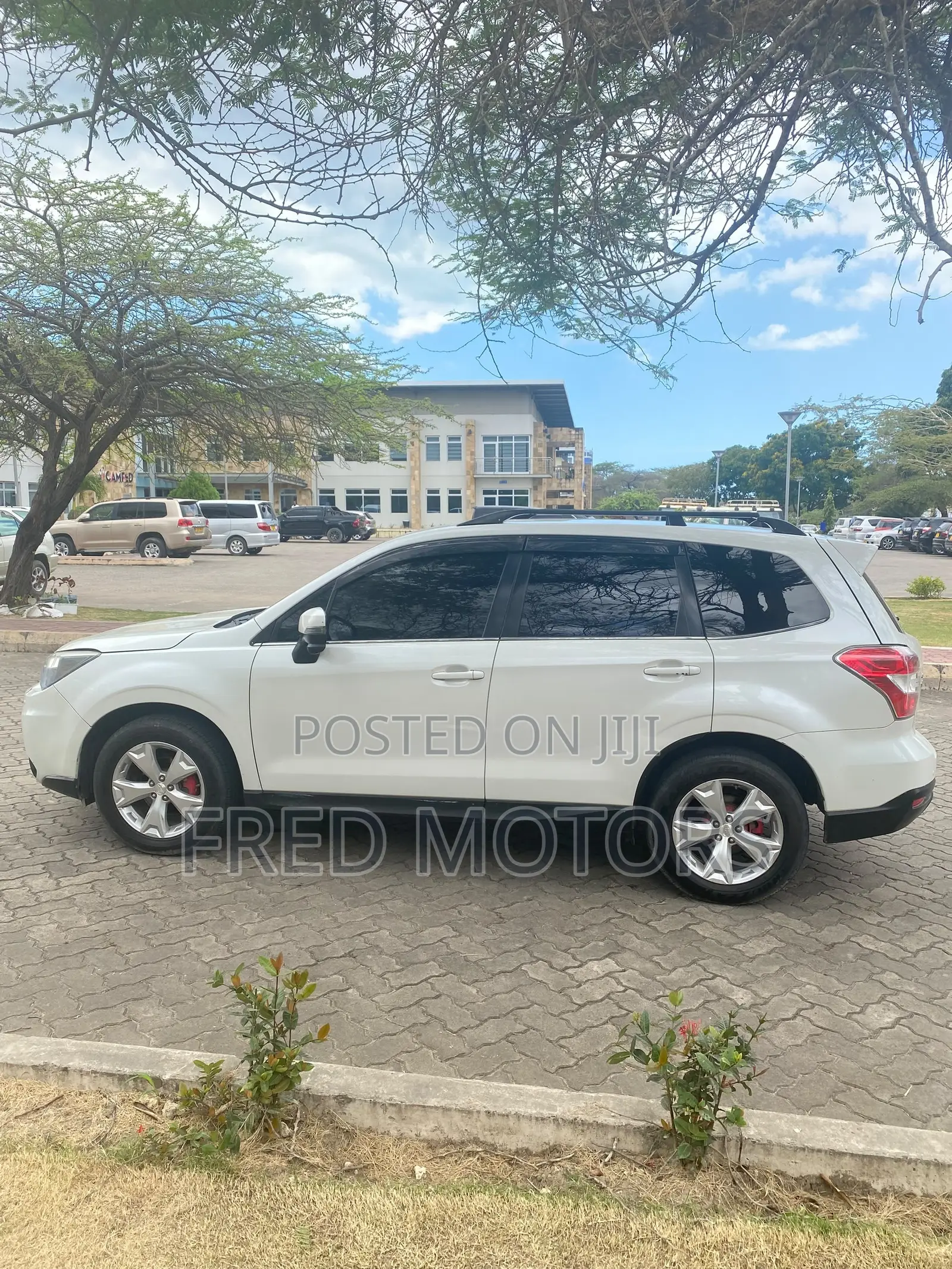 Subaru Forester 2014 White