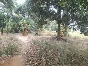 Plot for Sale TSH 300,000,000 at Morogoro Road Kongowe - Kibaha, Pwani