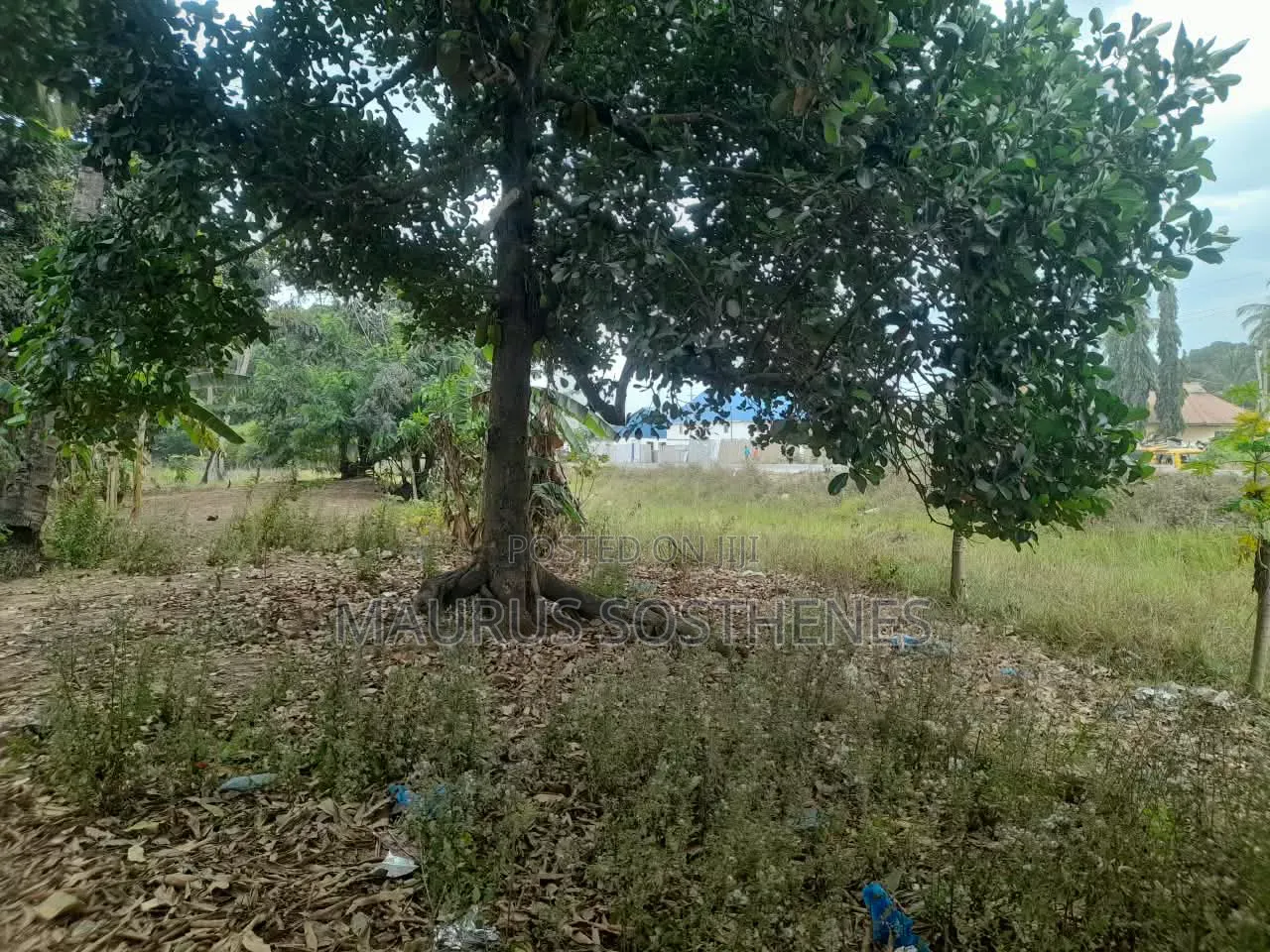 Plot for Sale TSH 300,000,000 at Morogoro Road Kongowe - Kibaha, Pwani