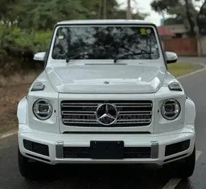 Mercedes-Benz G-Class 2021 Pearl