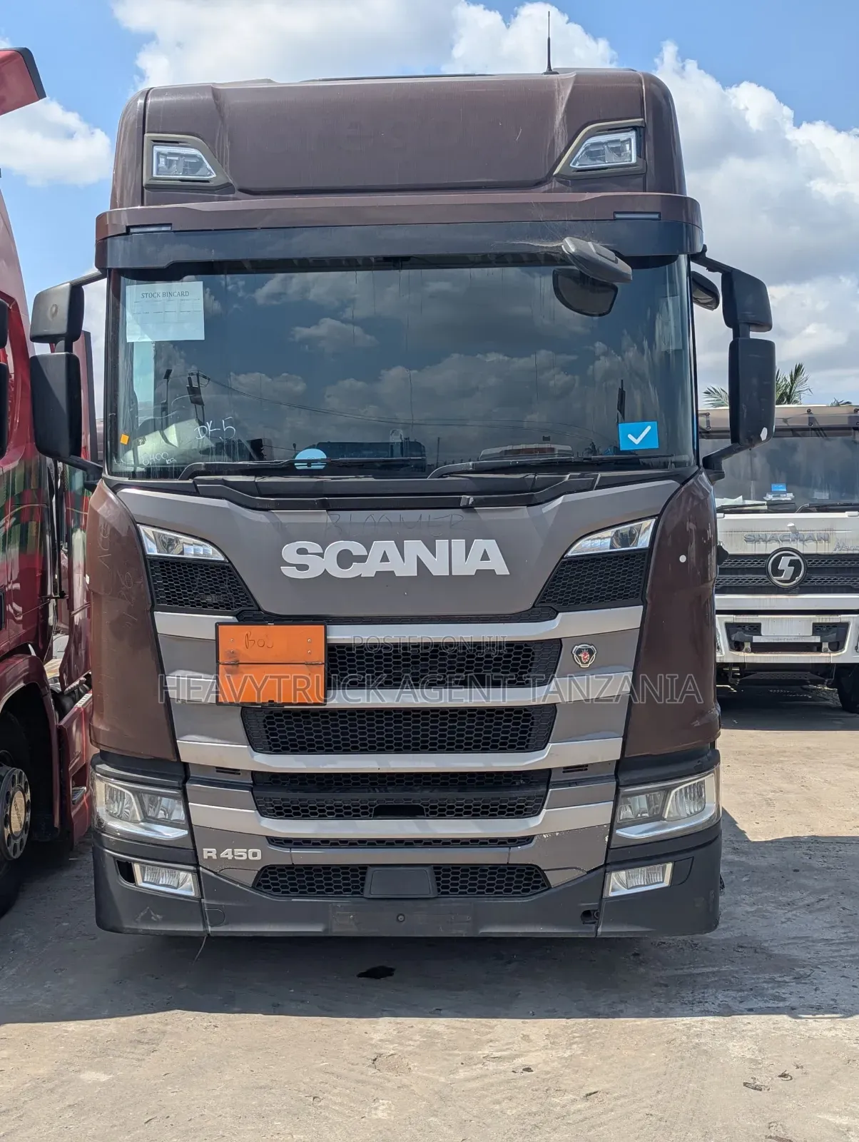 Scania Horse