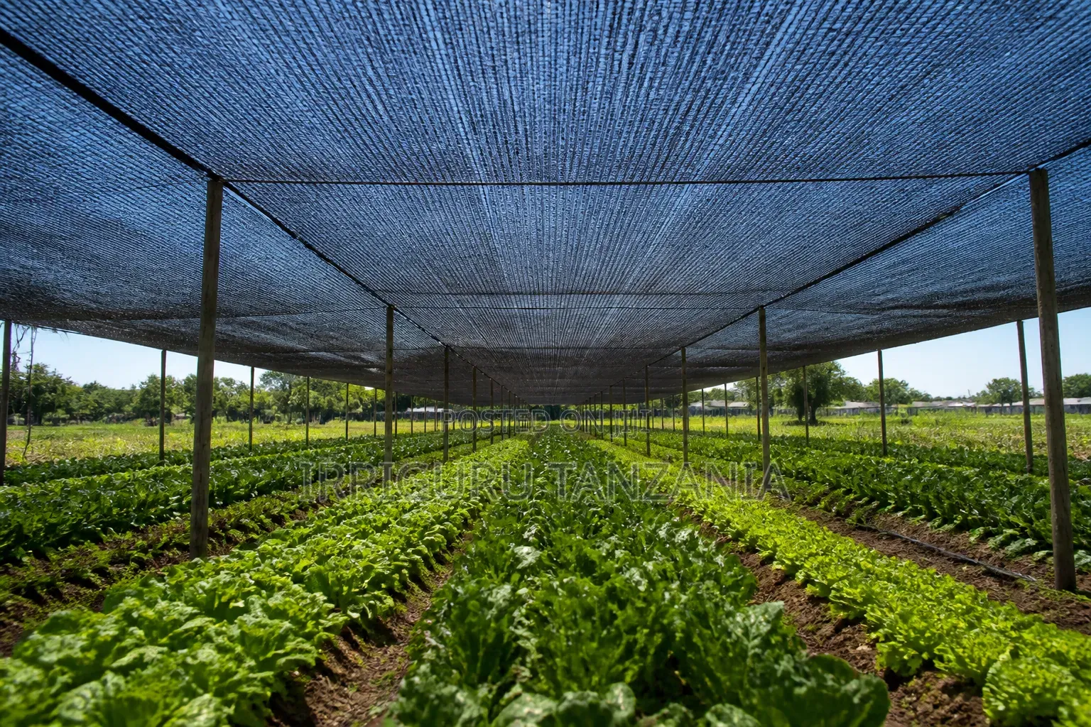 Crop Shading Fabric