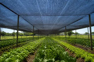 Crop Shading Fabric