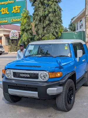 Toyota FJ Cruiser 4x4 Automatic 2011 Blue