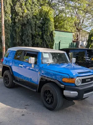 Toyota FJ Cruiser 4x4 Automatic 2011 Blue
