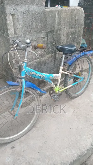 Two Wheel Bicycle