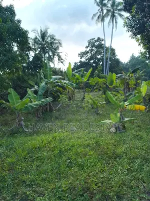 Farm Land for Sale at Kitope Zanzibar