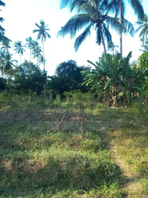 Farm Land for Sale at Kitope Zanzibar
