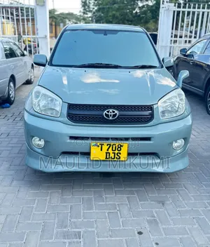 Toyota RAV4 2007 Silver