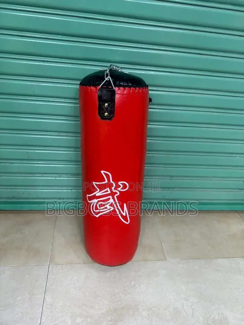 Hanging Punching Bag / Heavy Bag 