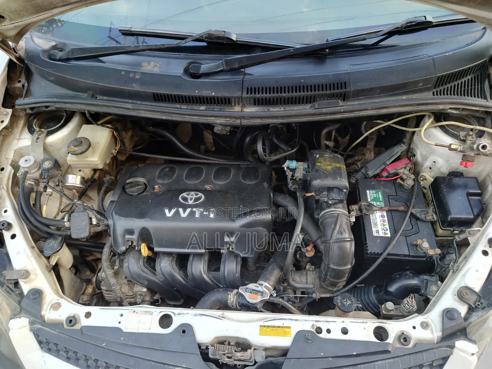 Toyota IST 2006 White