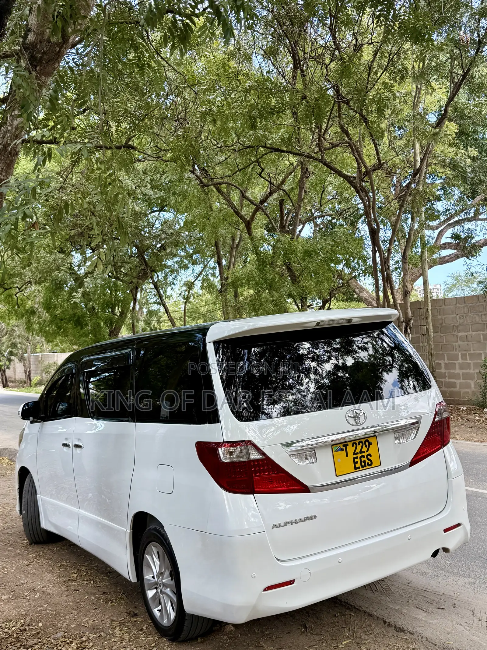Seat 124 2008 White
