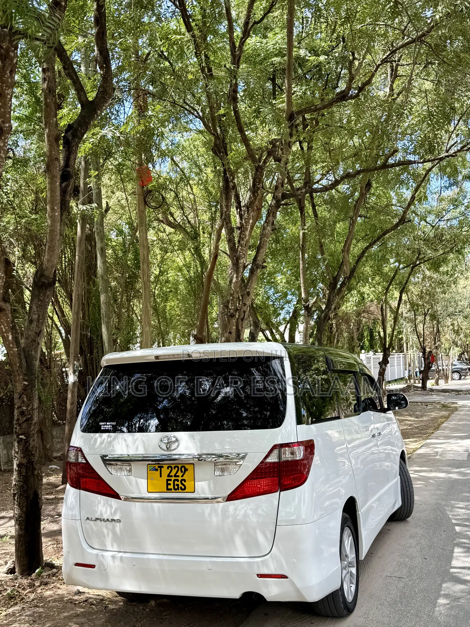 Seat 124 2008 White