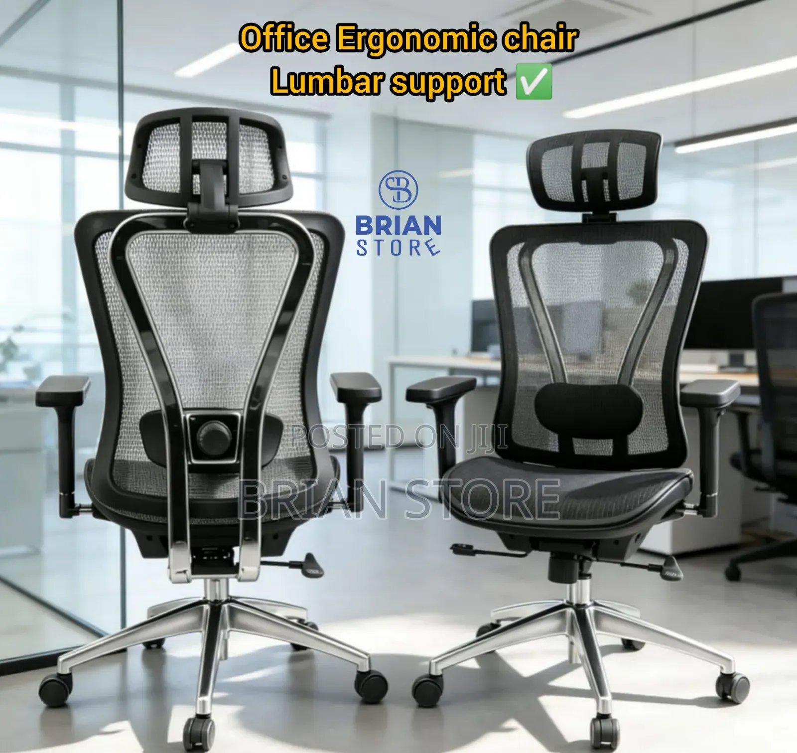 High Quality Office Ergonomic Chair With Lumbar Support