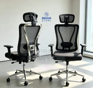 High Quality Office Ergonomic Chair With Lumbar Support