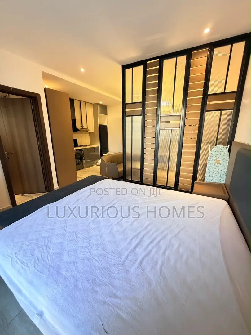 Furnished 1bdrm Apartment in Kinondoni for rent