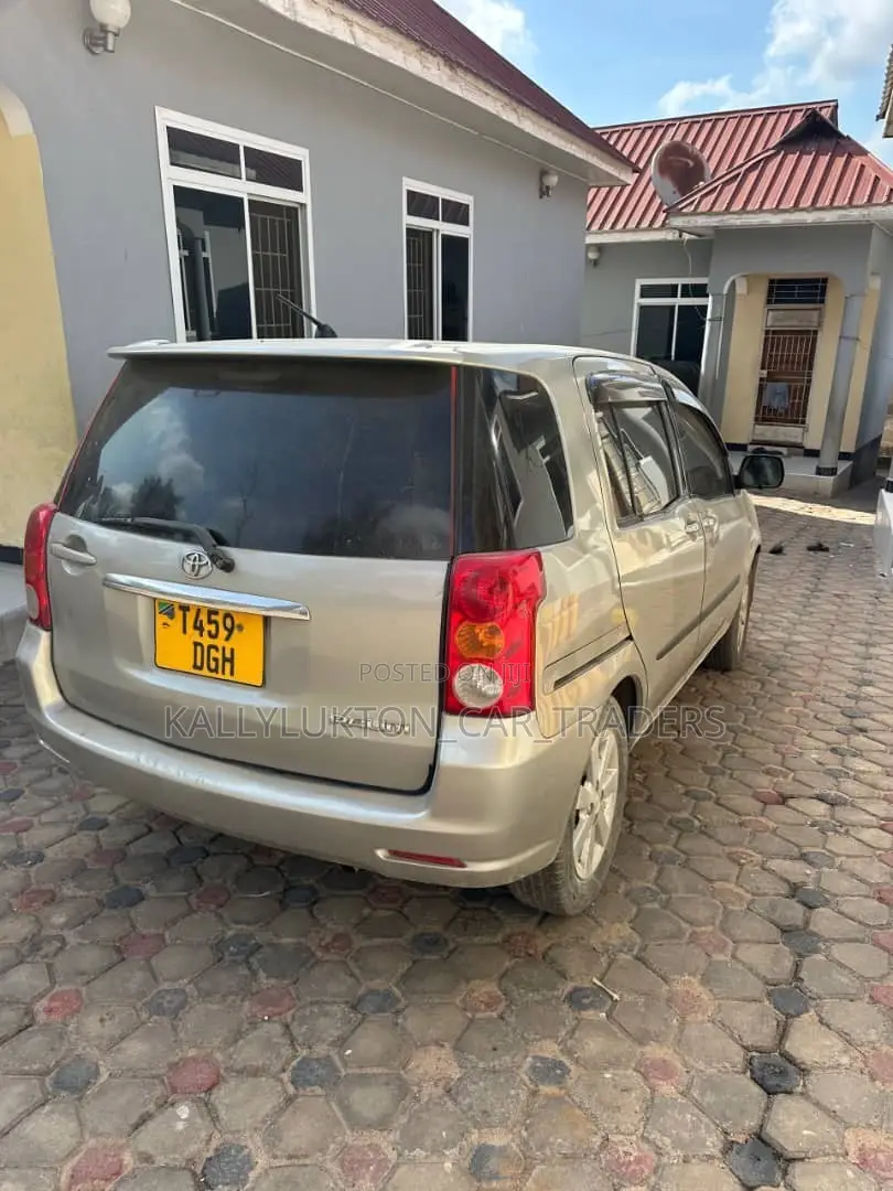 Toyota Raum 2007 Gold