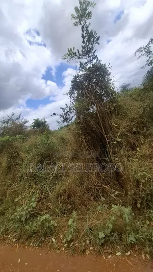 9hector 4 Mining at Bahi Dodoma Mpalanga Full Document