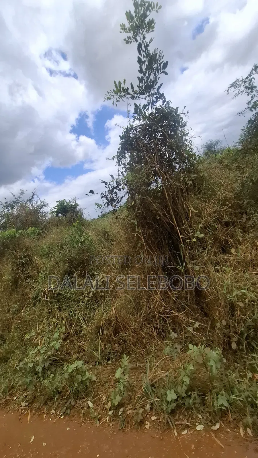 9hector 4 Mining at Bahi Dodoma Mpalanga Full Document
