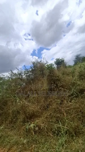 9hector 4 Mining at Bahi Dodoma Mpalanga Full Document