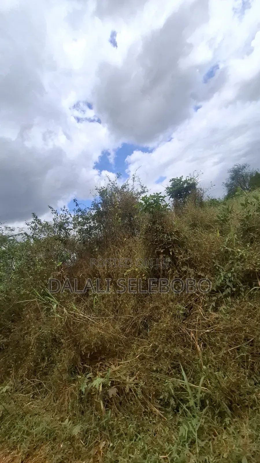 9hector 4 Mining at Bahi Dodoma Mpalanga Full Document